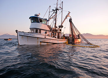 Stories of Alaska told by our local commercial fisherman