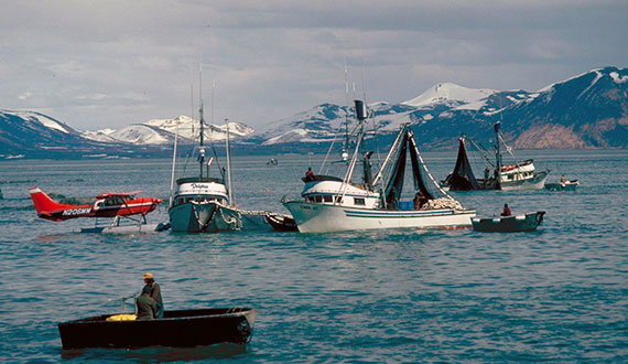 The history of commercial fishing in Ketchikan