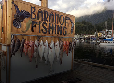 Enjoy what Alaska Fishing has to offer with our Cook your Catch Excursion