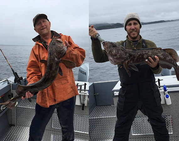 Baranof Guide Story: Catching Cods in Elfin Cove – Private Charter