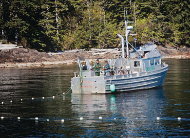 Gillnetting Fishing in Alaska Waters
