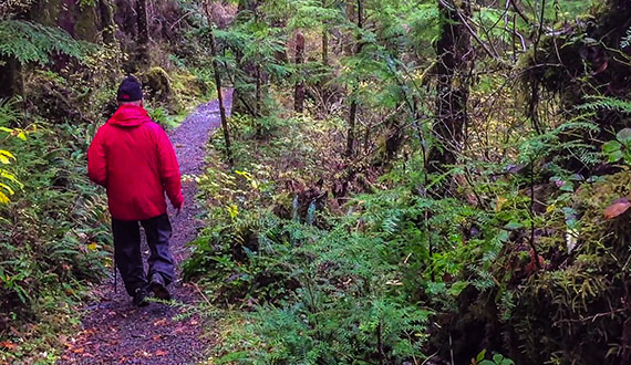 Explore Ketchikan Off-the-beaten-path through our local trails