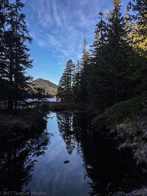 Connell Lake Trail picture