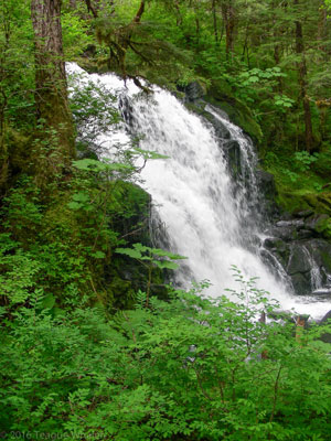 Lunch Creek Trail picture