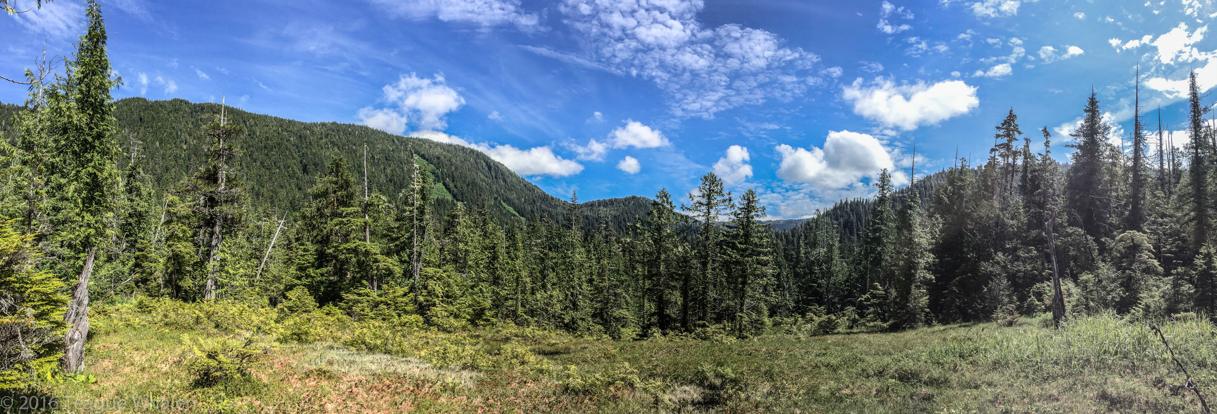 Lunch Creek Trail Ketchikan Alaska photo