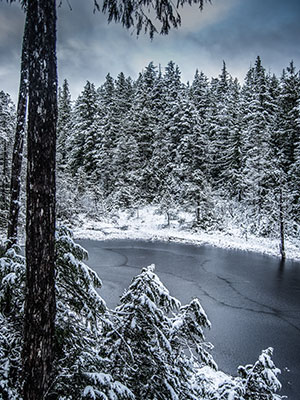 Trailside pond picture