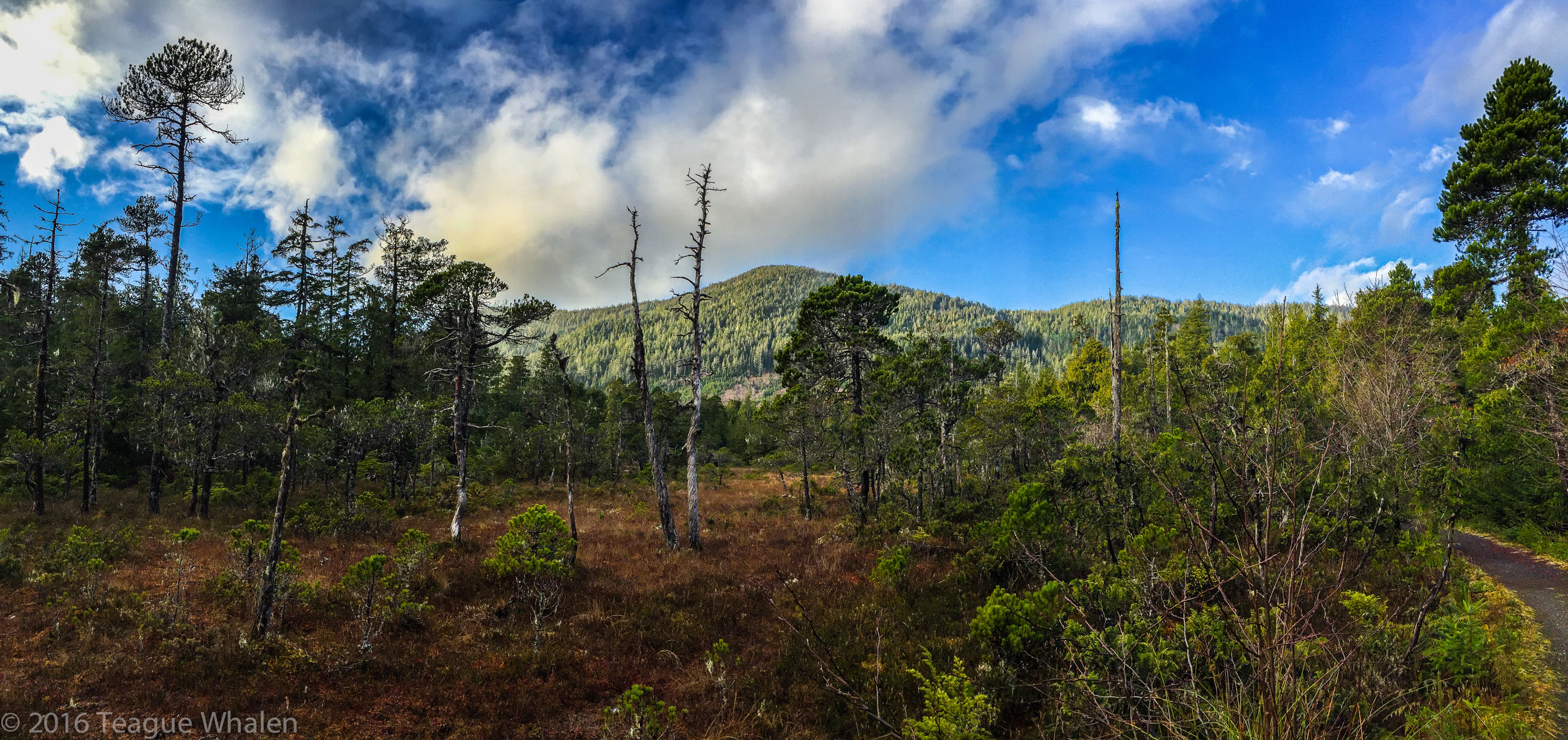 Ward Creek Trail Ketchikan Alaska photo