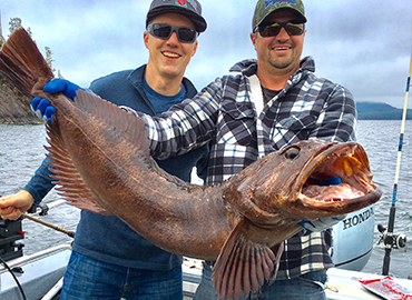 Fishing in Alaska Lingcod rules and regulations