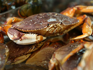 Ketchikan Alaska Seafood Discover More