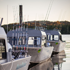 Customized Raider Boats for Alaska's
                Fishing waters