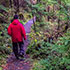 Must do's hikes and trails in Ketchikan