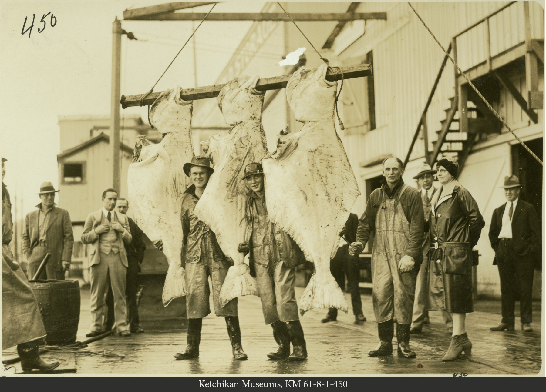 Ketchikan Cold Storage Crew with Halibut, circa 1923-1933